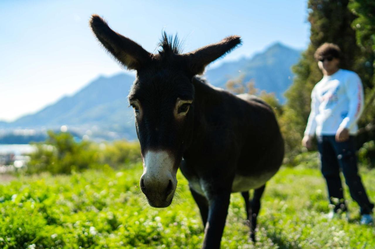 Montebello Lecco Zewnętrze zdjęcie